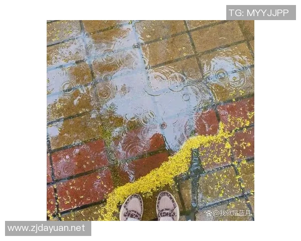 期待今晚的表现！温度骤降 原来是来自张科迪的三分雨🥶